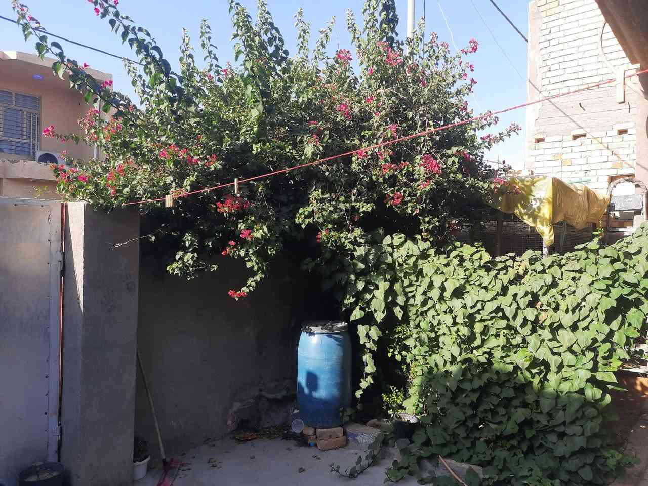 بيت للبيع مساحه ٢٠٠ متر
حي الحوراء بدايه شارع المله مبني طابق اول والثاني صاله وصحيات يحتاج قليل للطابق الثاني
يباع نقد او مبادره بيت جاهز للسكن
للاستفسار ***********
