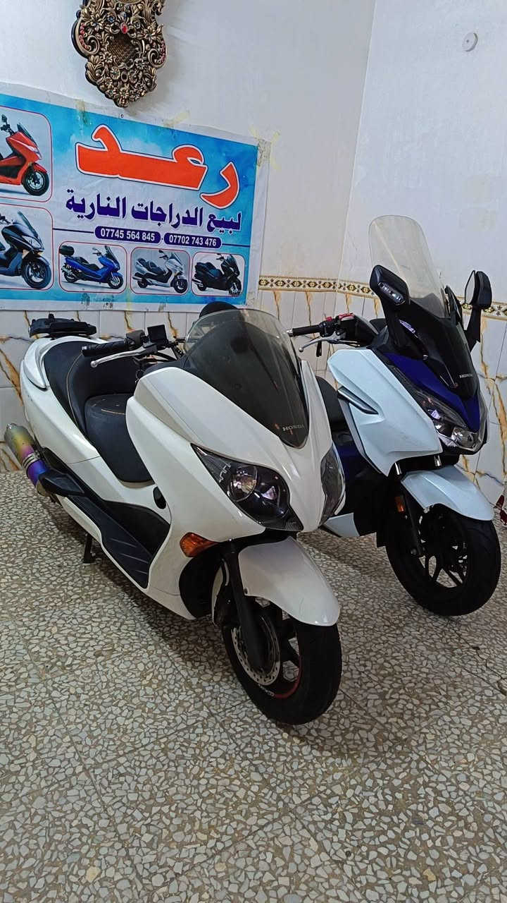 السلام عليكم
فورزات وكاله كفاله عامه رمبه حقيقي
للاستفسار   بالرقم ***********

العنوان بغداد بلديات شارع المصرف
يوجد لدينا توصيل كافت المحافظات
