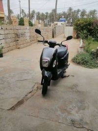 بوليسي • موديل ٢٥ • مكفوله
