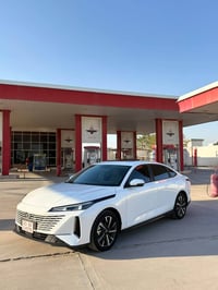 ايدو بلص • ٢٠٢٥ • ٢٩٠٠٠ كم