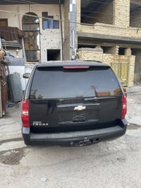 إل تي • ٢٠١٠ • مكفولة انتربول