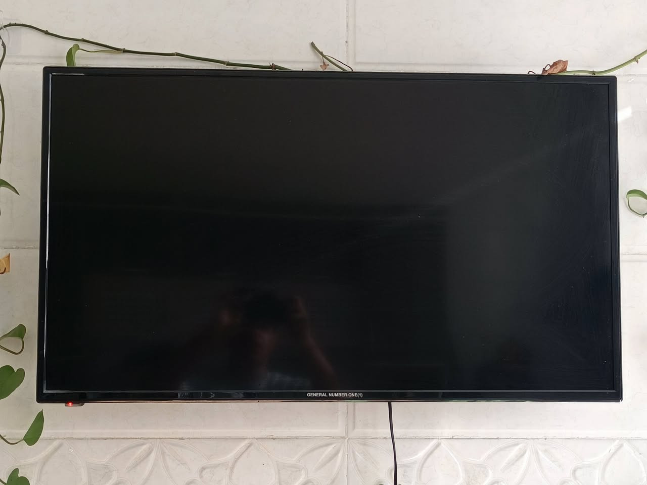 .
التنور ب 40
ميز 6 كراسي ب 50
البنكه ب 20
الصوبه ب 25
الشاشه اثنينهن سمارت شغال كامل
جنرال الكبير ل 150 حجم 50
وايدي ب 125 حجم 34
اي استفسار عل واتساب ***********
المكان الفلوجه حي الجولان
