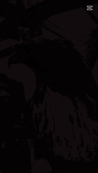 السلام عليكم حبايب گلبي تكسي القلعه وين تريد اوديك والسايق على المرام ناصريه والاقضيه اتصل وبالخدمه) كوت والاقضيه اتصل وبالخدمه) عماره والاقضيه اتصل وبالخدمه) نجف والاقضيه اتصل وبالخدمه) كربلاء والاقضيه اتصل وبالخدمه) ديوانيه والاقضيه اتصل وبالخدمه) سماوه والاقضيه اتصل وبالخدمه) بصره والاقضيه اتصل وبالخدمه) بغداد والاقضيه اتصل وبالخدمه وين تريد اوديكم بالخدمه *********** ***********
