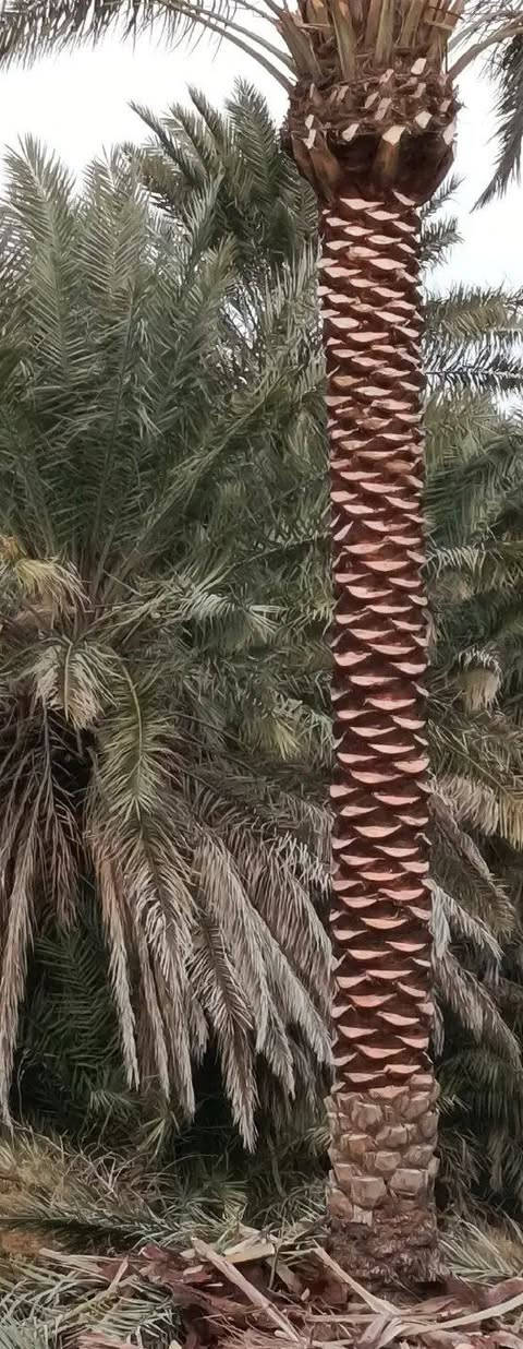 يوجد كادر تنظيف ***********
