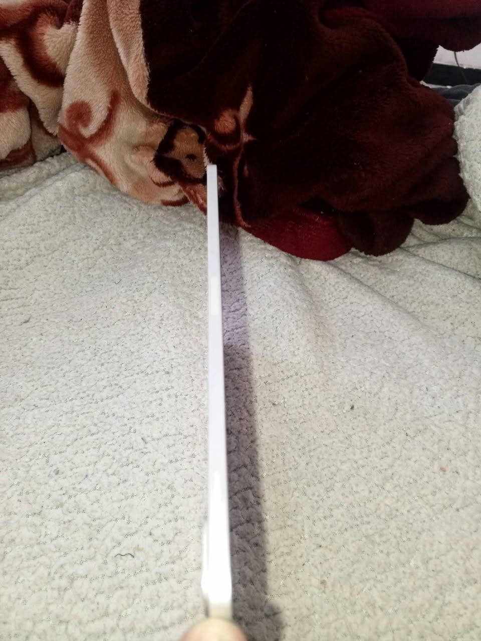 سلام عليكم ايباد m2 طافي ذاكره 256 بطاريه 95 بدون ملحقات بدون ايكلود ماعرف شنو عطله ابيع فحم نضافه 100 مكاني بغداد بلديات توصيل ماكو ***********
يرهم مراوس سعر 350
