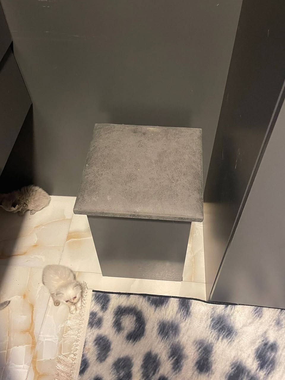 عيني غرفه جديده تركيه زاويه مستعمله فقط اشهر قليله الف خمس قطع بكاني المشتل كبال جامع الامام علي


**إذا كنت صاحب هذا الإعلان وتريد حذفه لأي سبب، رجاءا أرسل رسالة إلى الدعم الفني**