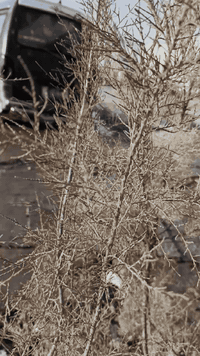 السلام عليكم ورحمة الله
كيه هوانداي للبيع

محرك شرط

كير واكسل شرط 

حداديه جديده 

طخم تايرات جدد

دواخل نضيفه

صدر وره وكدام جديد

ماعايزهه شي 

السعر 24 وبيهاا مجال

رقم ***********
