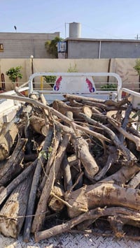 ستوتة • حطب • نظيف