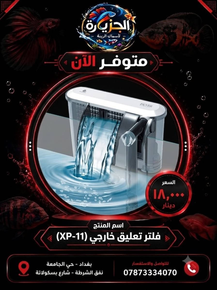 🚚 توصيل داخل بغداد بـ 4,000 دينار فقط
📦 توصيل لجميع المحافظات بـ 5,000 دينار فقط
✅ تغليف آمن
✅ شحن سريع
✅ استلام مضمون
📞 ***********
📍 معرض الجزيرة لأسماك الزينة - بغداد حي الجامعة نفق الشرطة شارع
بسكولاتة.

#CoraFeed
