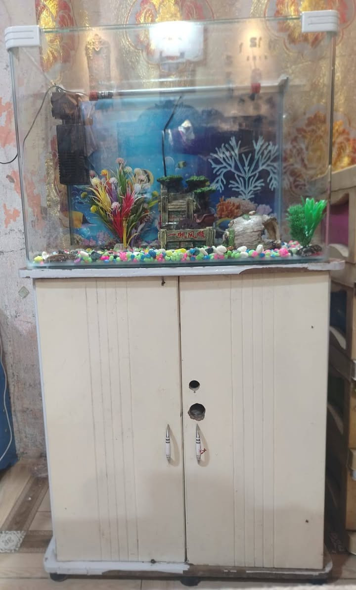 عليكم شباب حوض سمج للبيع ملحقاته كامله هوه ولميز السعر60وبي مجال


**إذا كنت صاحب هذا الإعلان وتريد حذفه لأي سبب، رجاءا أرسل رسالة إلى الدعم الفني**