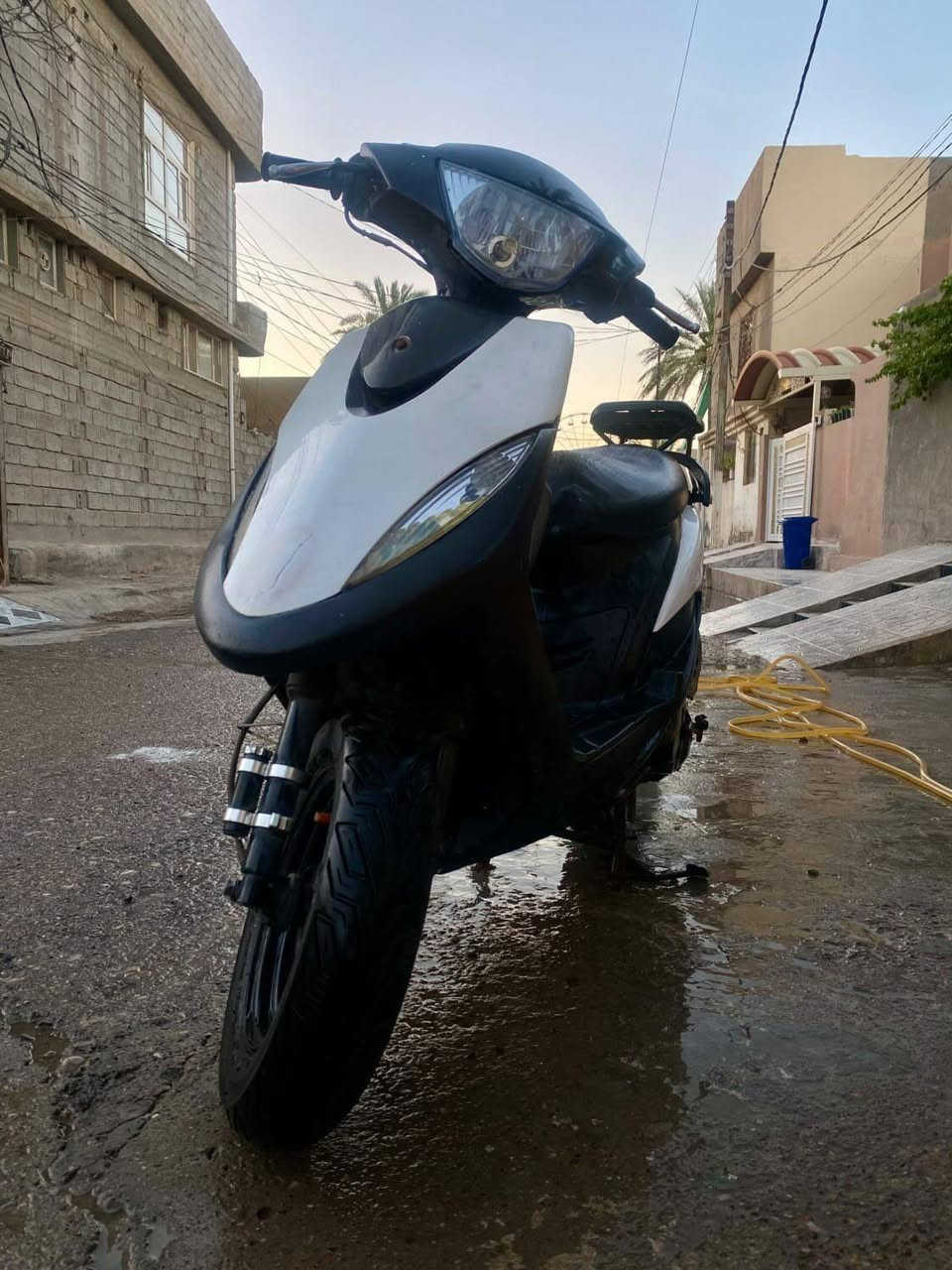 دراجة ماكس عدلة نظيفة ما مفتوحة كلشي بيها بلادي و دراجة نشطة تجي انتة تشوفها و تقتنع بيها ما استعملهه هواي مجرد اروح بيها للشغل و ارجعدراجة تخبل ناعمة السعر 550 و بيها مجال اتصل على هل رقم *********** مكاني ديالى مقدادية
