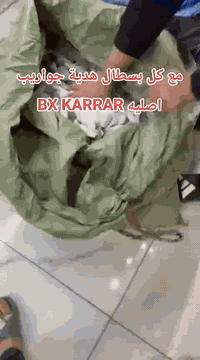 ⁨ ⁨ ⁨ ⁨ ⁨ 🥾 اقوى العروض من BX KARRAR  🥾 https://t.me/bxkarar قناة تلكر...