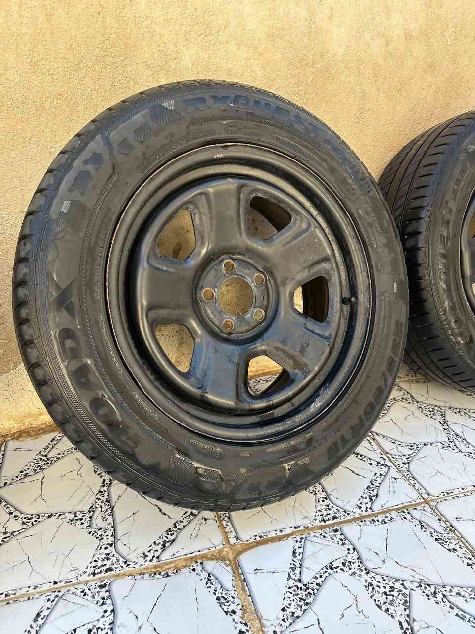 تخم ويل بوليسي أصلي كامل بدون صبغ سعره ٥٠٠ ألف *********** كربلاء
