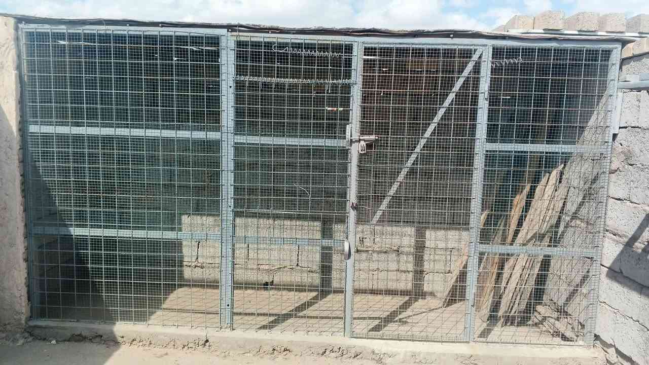 سلام عليكم وجهيه للبيع طول  3ونص ارتفاع 180 سعر125وبيه مجال مكاني نهروان شارع الشمري


**إذا كنت صاحب هذا الإعلان وتريد حذفه لأي سبب، رجاءا أرسل رسالة إلى الدعم الفني**