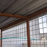 قفص • سليم • ديالى