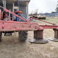 حاشوشه للبيع 075098282149