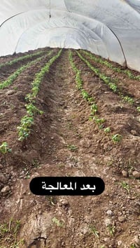الاخوة المزارعين الكرام … مع خلطة المهندس منتظر علاء الشجيري 👨🏻‍🌾 يمكن...