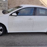 سيراتو ٢٠١٩ • نص فول • رقم بغداد