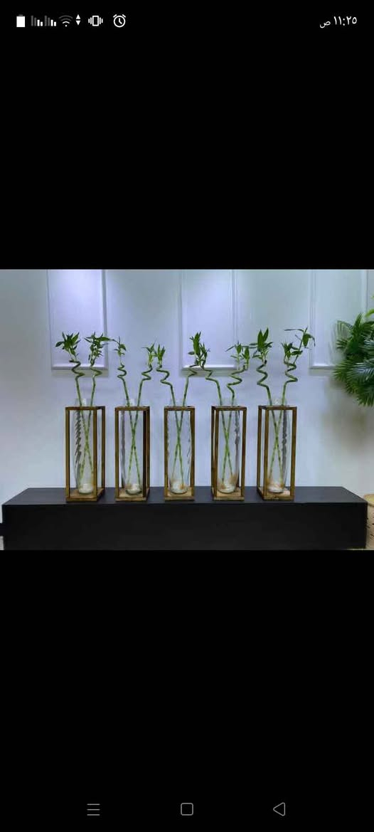 زرع مشتل الروان الشطره, ذي قار


**إذا كنت صاحب هذا الإعلان وتريد حذفه لأي سبب، رجاءا أرسل رسالة إلى الدعم الفني**