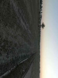 أرض زراعيه للبيع المساحه دونم سند ٢٥ تحويل مباشر للأستفسار الاتصال فقط...