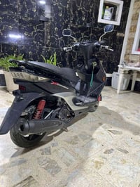 سكنس فحل • ياباني • بلاديه