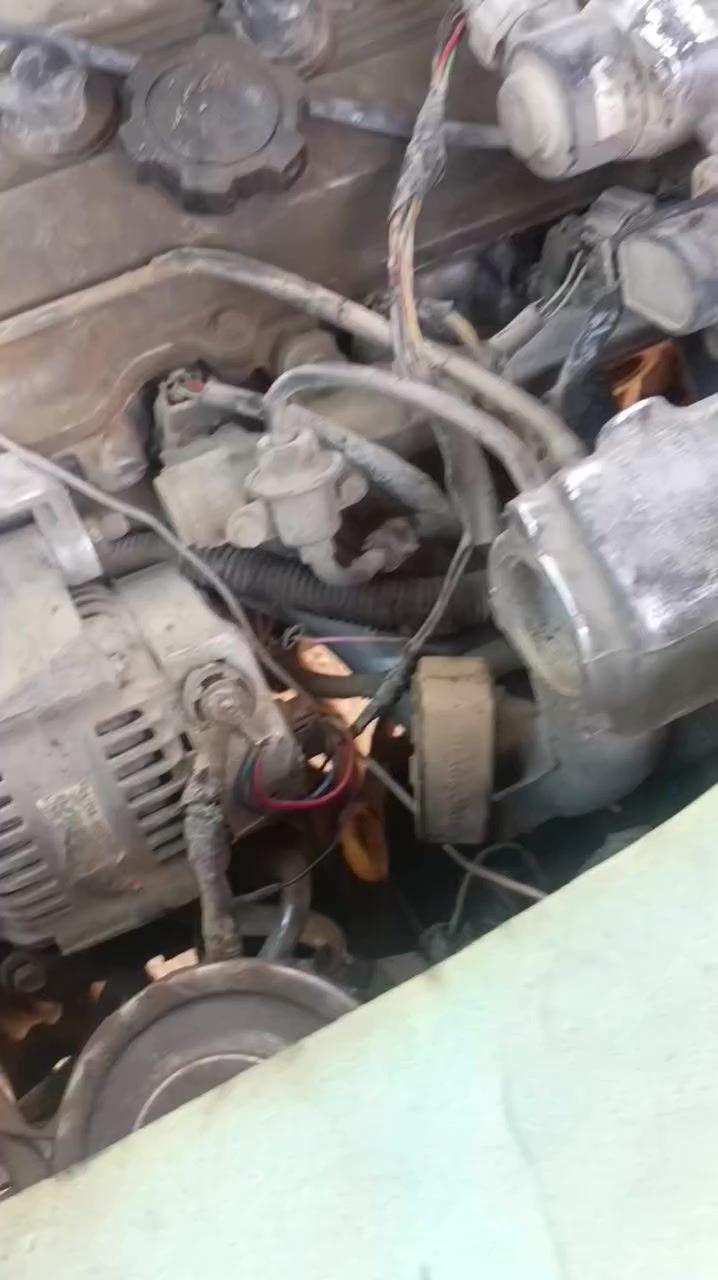 #بيع #مستعجل👇
فتون 2009 كربلاء أنگيزي مميز سنوية للـ 2030 خطه (المدينة القديمة/حولي) مكينة ونجي بيه صوت أول ما تشتغل وبعدين يروح الصوت، تبريد شغال بس البلي بيه عواج ومفلتين القايش حالياً بس من تجي تفحص بيدي اشغلك تبريده،  السيارة بيه بارد بالبجم وطخة باب الجطنة على وضعه مامعمرة شواصيه حلوات حدادية وتايرات، نص عمر،   السعر المطلوب 55 وبيه مجال 
ملاحظة/
عنواني النجف الاشرف حي الميلاد 
وراعيه ابو السنوية هم يمي بنفس المنطقة، وأي استفسار على هذا الرقم وبيه واتساب ***********
