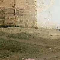 الإسكان القديمة • ١٠٨م • سند فسفورة