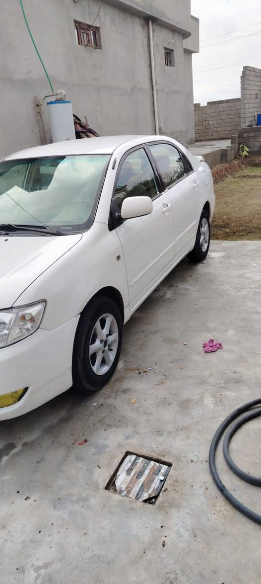 سلام عليكم كورلا بكاجيو 
موديل 2007
رقم بغداد ألماني شرعي بيجي
محرك 1800 خليجي 
صبغ قطعتين بدون دوخل جاملغ خلفي ع باب خلفي 
سياره محرك كير صدر تخم تايرات جديد تبريد ثلج 
مراوس حسب القناعه اتصال 
***********
السعر 97مكان بيجي المزرعه
