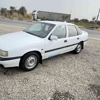 ٣٣ ورقة • بيهة مجال