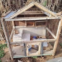 قفص بلابل • بعقوبة • للبيع