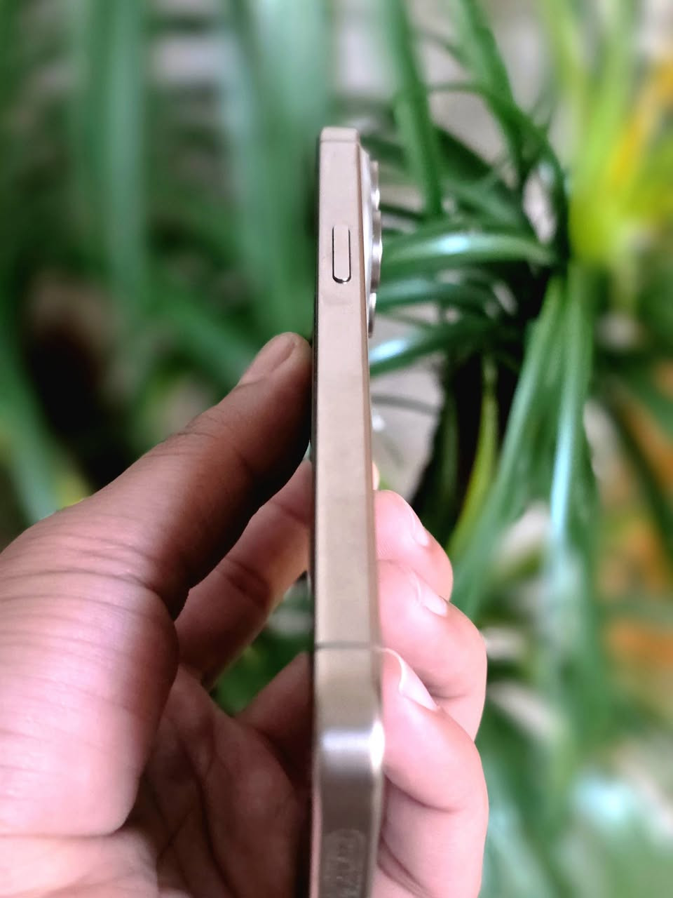 15 برو ماكس ذاكرة ٢٥٦ بطارية ٨٧ استخدام شخصي
كارتونتة متوفرة 
السعر 975


**إذا كنت صاحب هذا الإعلان وتريد حذفه لأي سبب، رجاءا أرسل رسالة إلى الدعم الفني**