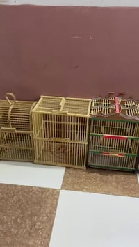 متاح قفاص بلابل نضافه 95 الواحد ع 12 الف اكو توصيل حسب المكان واتساب 0...