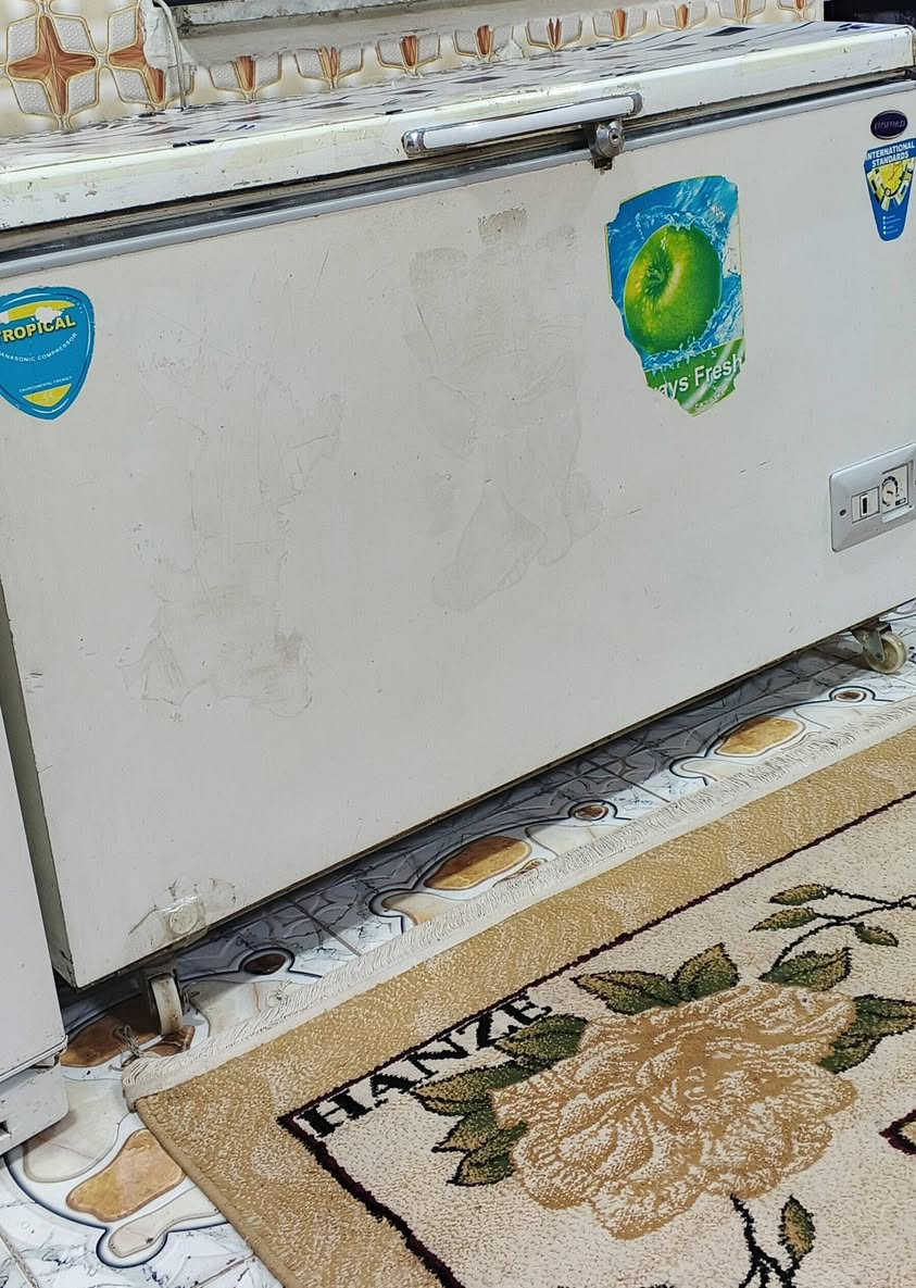 مجمده حجم جبير وثلاجه تجميد فوول السعر 500 الف اثنينهم الشراي يتفضل


**إذا كنت صاحب هذا الإعلان وتريد حذفه لأي سبب، رجاءا أرسل رسالة إلى الدعم الفني**