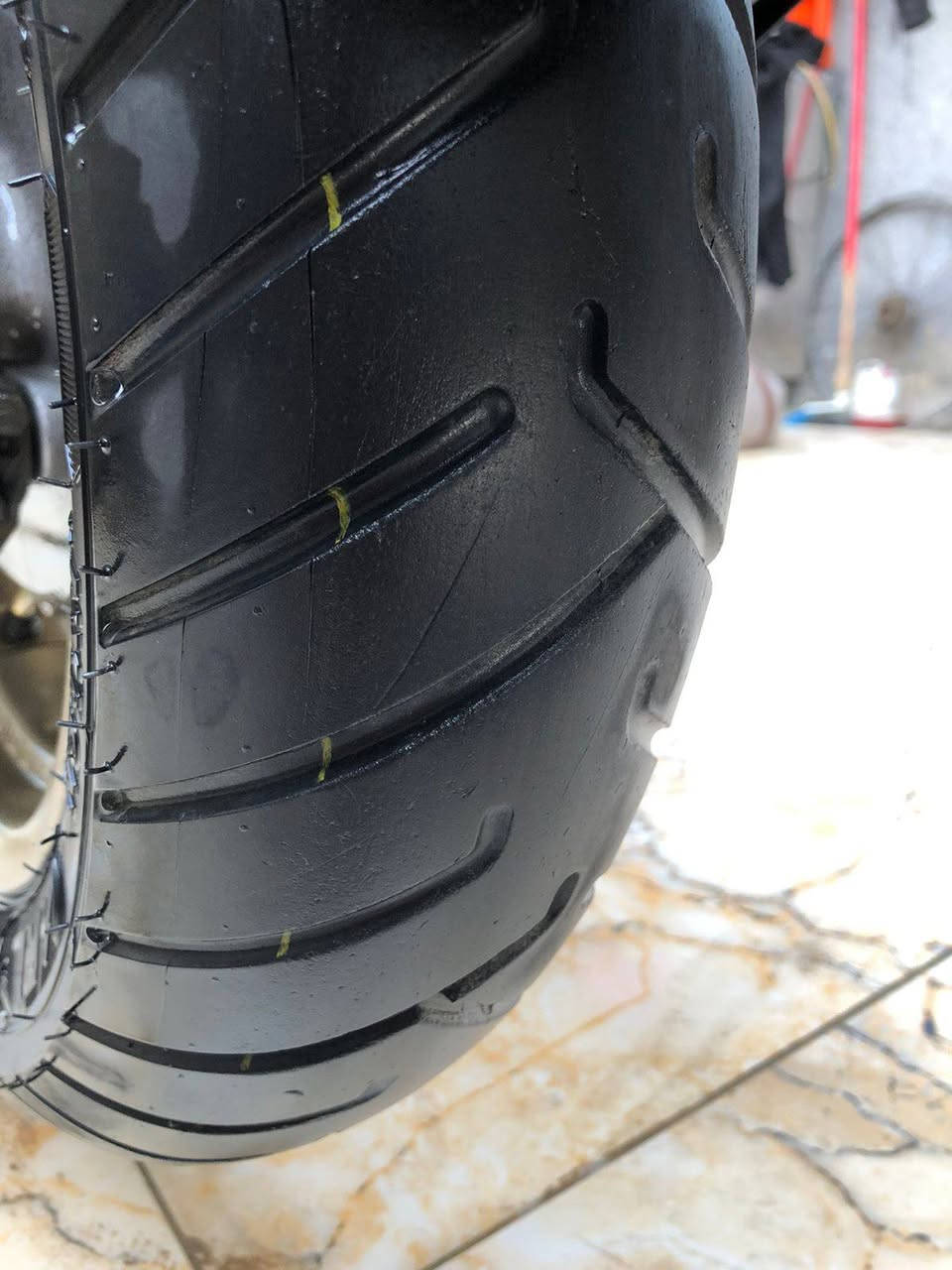 سكنس فحل للبيع الاستفسار والاتصال على هذا الرقم *********** الاتصال واتساب والسعر 700
