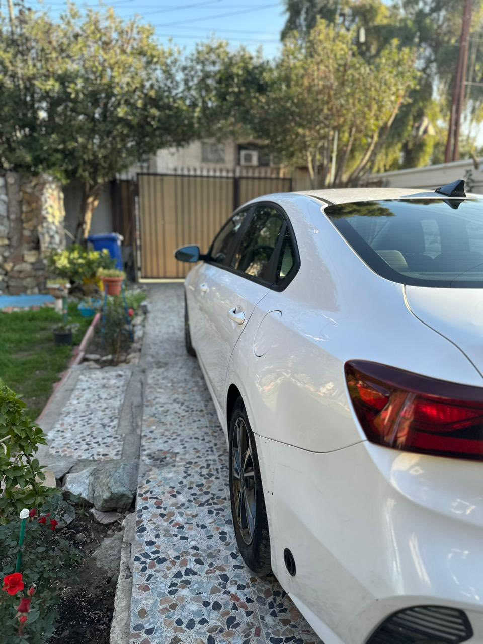 للبيع فقط
فورتي موديل 22 رقم أربيل سنويه بأسمي تحويل مباشر وشرط التحويل حادثها بنيد فقط معمر نفسه وخشم الجاملغ بارد شاصي لغد مكفول ماشيه 98 جاهزه من كلشي سعر 157 وبيها مجال بسيط مكاني بغداد الشالجيه مكلف بالنشر أي استفسار هذا رقم راعيها ‭0790 320 2402‬

‭
