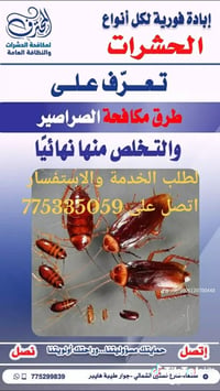 مكافحة حشرات • بق الفراش • صنعاء