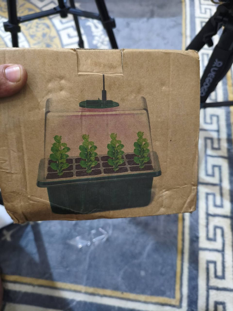 بيوت زجاجيه حجم صغير عددهن 5 السعر 15 الف


**إذا كنت صاحب هذا الإعلان وتريد حذفه لأي سبب، رجاءا أرسل رسالة إلى الدعم الفني**