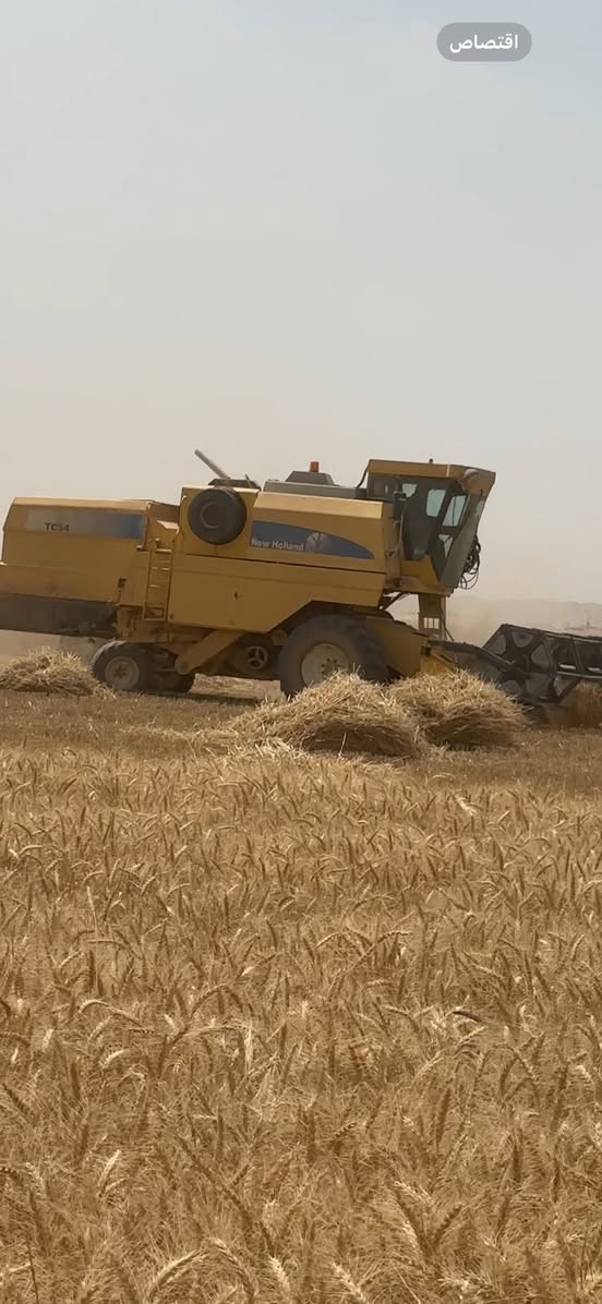 حاصوده للبيع موديل 2006 أربعه بلم قايش رقم سنويه تحويل التفاصيل مكان كركوك ***********  ***********
