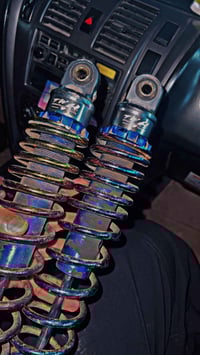 دبلات سكنس جبلي مراوس بغراض سكنس فحل او دبلات وللبيع  تواصل واتس  0776...