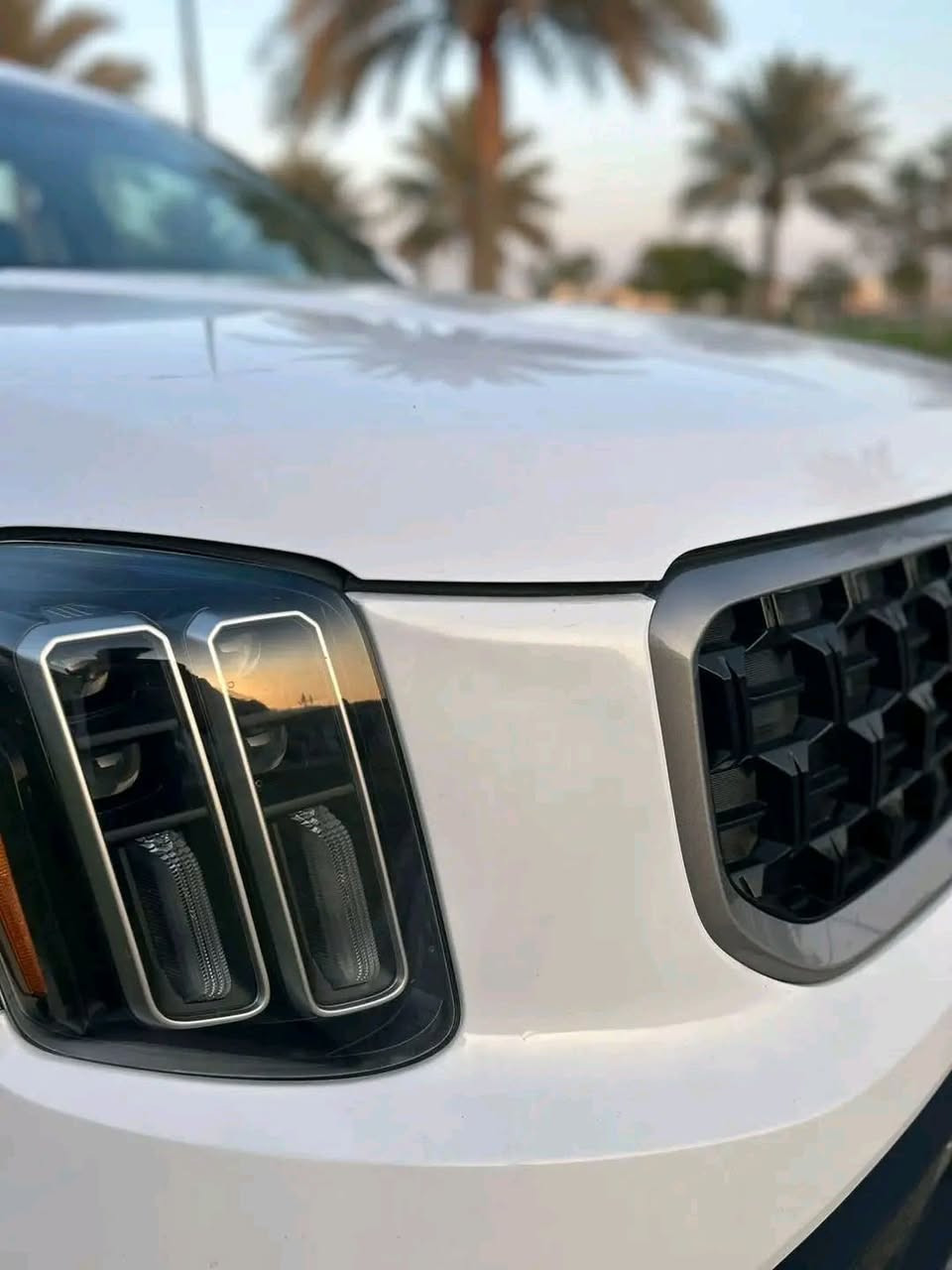 سلام عليكم
تيلورايد 2023  VIP
مرقمه و كامله 
بصمة تشغيل بصمة بيبان تشغيل عن بعد كشنات حرارية كشنات كهرباء كل الكشنات جلد فتحة سقف اشاير بالمري توقف ذاتي لدات ترحيب لدات نهاريه هندبريك بصمة كامرة دوارة إطفاء ذاتي وبيه بعد هوايه مواصفات
حادثه جاملغ امامي صبغ والخلفي تعديل بارد على شبرين فقط ايرباك فقط استيرن
ماشيه 26 الف فقط
السعر مناسب 280 ورقه وبيه مجال
***********
