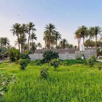 ارض زراعية • ٨ دونم • طريق كربلاء نجف