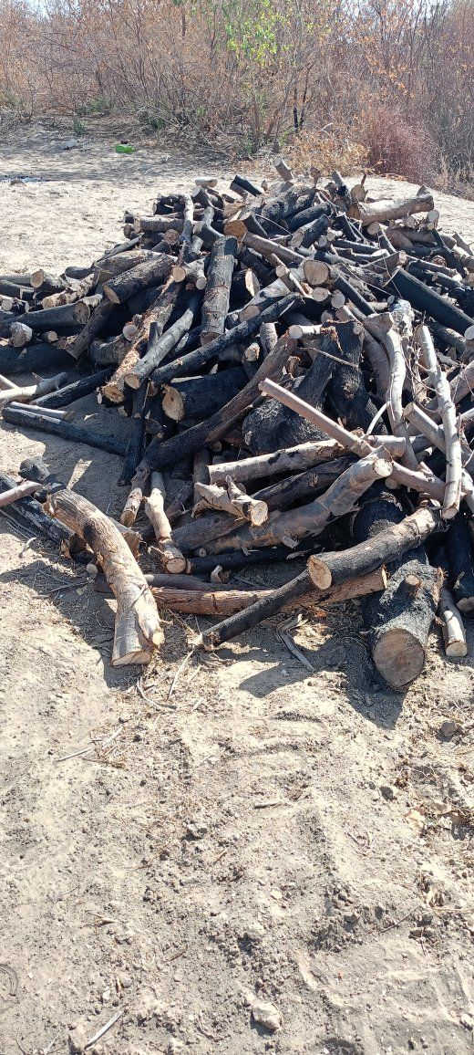 خشب للبيع مال مطاعم مسكوف سمج سعر الكيه با350 مكطع خشب رقم واحد


**إذا كنت صاحب هذا الإعلان وتريد حذفه لأي سبب، رجاءا أرسل رسالة إلى الدعم الفني**