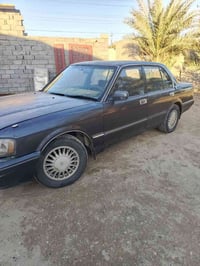 ارنب • ١٩٩٥ • رقم انكليزي الكرمة