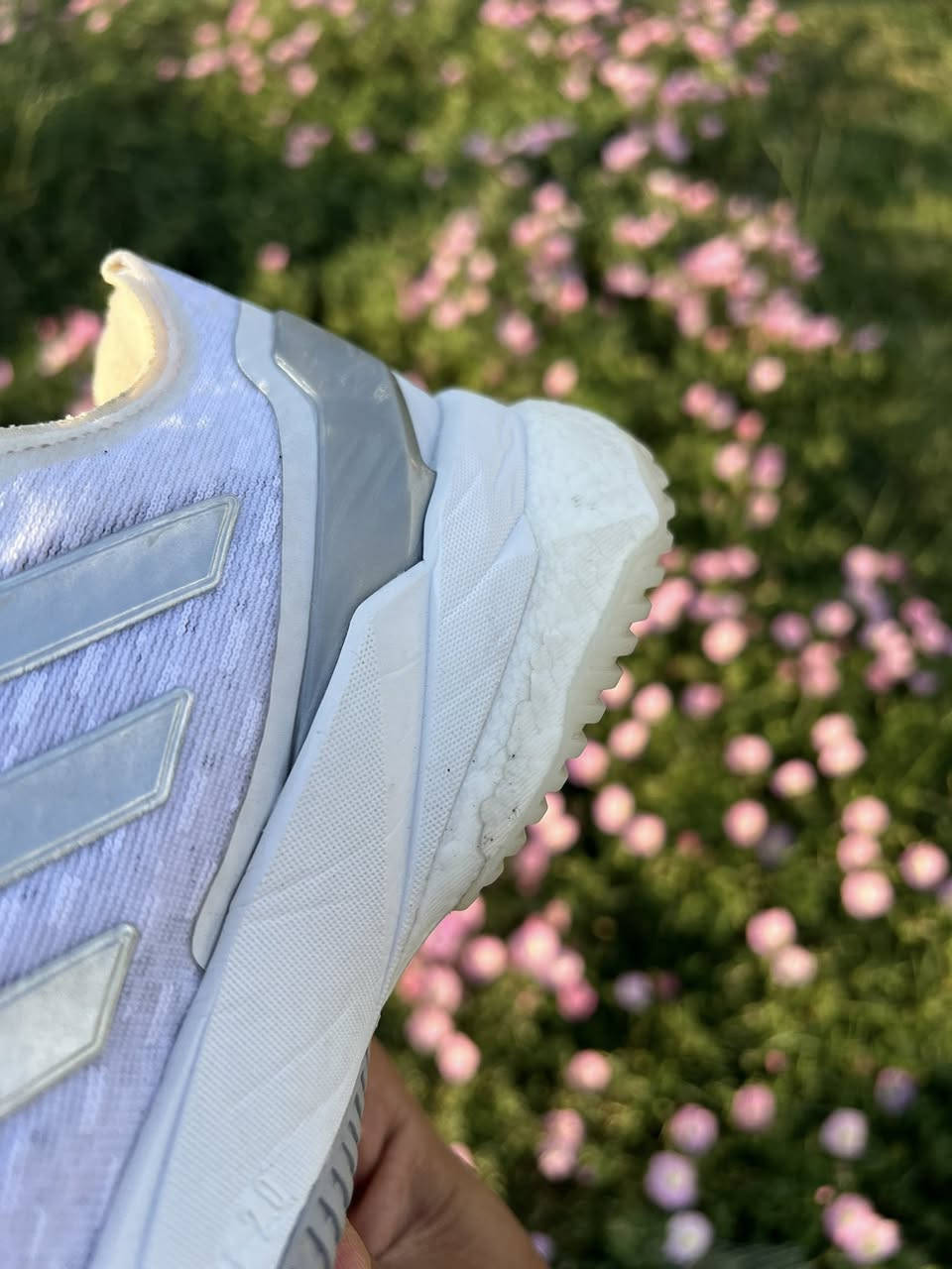 adidas
Crazyflight 5

بالة أوروبية، بشرط النظافة

قياس: ٣٩
طول: ٢٤،٥

- يوجد التوصيل


**إذا كنت صاحب هذا الإعلان وتريد حذفه لأي سبب، رجاءا أرسل رسالة إلى الدعم الفني**