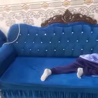 كاونترات • تخم • للبيع