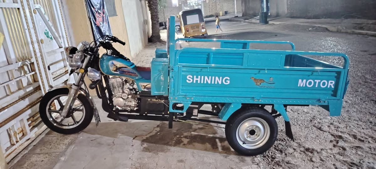 ستوته للبيع أصولي***********
