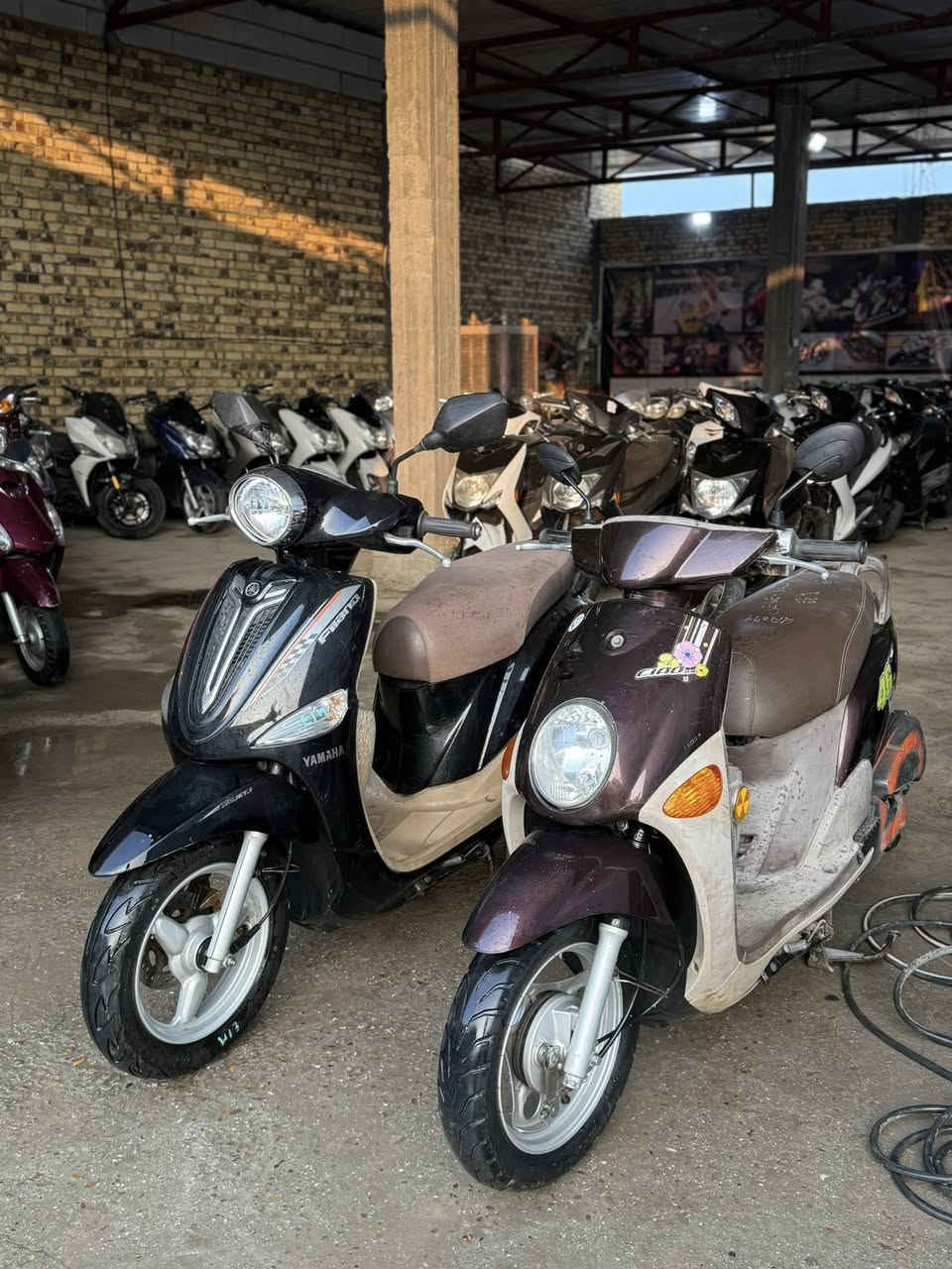 معرض سكنس يقدم الكم انواع السكانس المزالياباني والكوري المزود والبلادي واكزز خبط واكزز Z ياباني وكوري 
وماجستا S الياباني والكوري والبوليس الكريمي والببغاء والفله 
بأدراة فقوري ***********
الموقع📍الحلة نادر الثانيه شارع الخدمي
