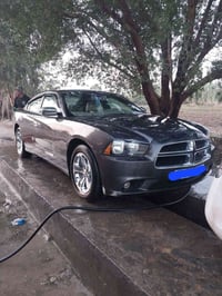 تشارجر • ٢٠١٤ • غير مصبوغة