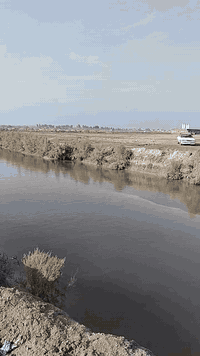 السلام عليكم توجد ارض للبيع المساحه ٤ دوانم زرعي المكان خفاجه خلف الهياكل السعر ٢٠ مليون وبيهن مجال الاستفسار *********** واتساب او خاص
