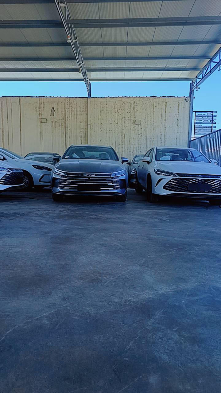 الاسعار جوه السووك 🔥
الديستروير 
الكن بلاص
سيل 5

 ويتوفر جميع انواع سيارات البي واي دي 
من قلب مخازن وساحات السيارات في اليوسفية 
للبيع المفرد والجملة

🥇مجمع معارض مدخل بغداد للسيارات
الاسعار اتصل وتدلل انسب الاسعار 

🔴بي واي دي دسترويرBYD موديل 2025 نار 🔥 
🔴بي واي دي كن بلاص BYD موديل 2025 🔥 
🔴بي واي دي سيل BYD موديل 2025 🔥 

الاسعار جدا مناسبه
        زورونا واهلا وسهلا بكم
يتوفر كافة انواع byd😍

___________________
مواصفات الكورلا 
فول الفول 
كرسي عادي 
شكل الامريكي وشكل خليجي
               
للاستفساراكثر اتصل على الأرقام التالية
🥰🥰🥰🥰☎️☎️☎️☎️

عزالدين الغريري
ادهم الغريري
***********
***********
***********
***********
📍الموقع بغداد اليوسفية قرب سيطرة 75
( مجمع معارض مدخل بغداد للسيارات)
(((معارض اليوسفية))) maps/waze 📍#BYD #bydبغداد #العراقيين
#BYDIraq
#يخيي
#متابعة
#BYD#. #بغداد
